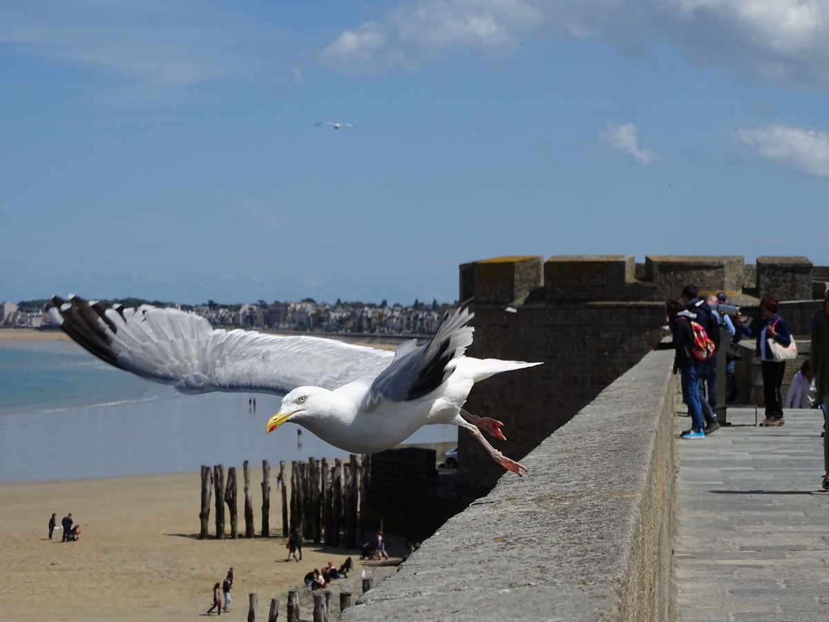 Diapositive 54++Saint-Malo.jpeg 