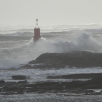 Vignette 19++Tempête_Bella.jpeg 