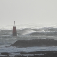 Vignette 20++Tempête_Bella.jpeg 