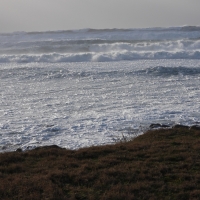 Vignette 21++Tempête_Bella.jpeg 