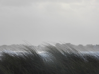 Vignette 26++Tempête_Bella.jpeg 