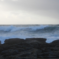 Vignette 29++Tempête_Bella.jpeg 