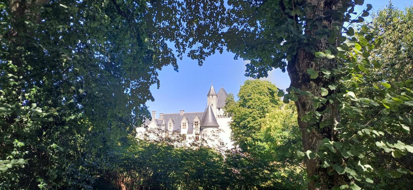 Diapositive 18++Chateau_du_Rivau.jpeg 
