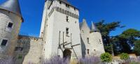 Vignette 15++Chateau_du_Rivau.jpeg 
