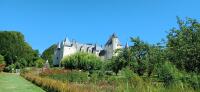 Vignette 19++Chateau_du_Rivau.jpeg 