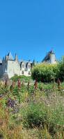 Vignette 21++Chateau_du_Rivau.jpeg 