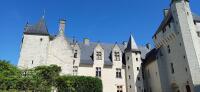 Vignette 25++Chateau_du_Rivau.jpeg 
