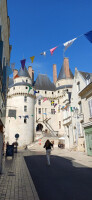 Vignette Langeais_105114.jpg 