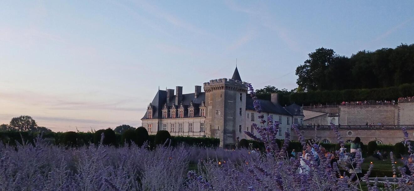 Diapositive 16++Villandry.jpeg 