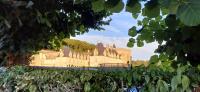 Vignette 01++Villandry.jpeg 