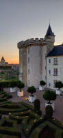 Vignette 08++Villandry.jpeg 