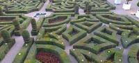 Vignette 12++Villandry.jpeg 