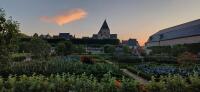 Vignette 15++Villandry.jpeg 