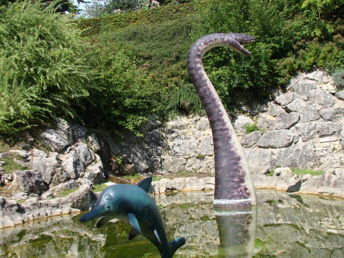 Diapositive Ichthyosaurus.jpeg 