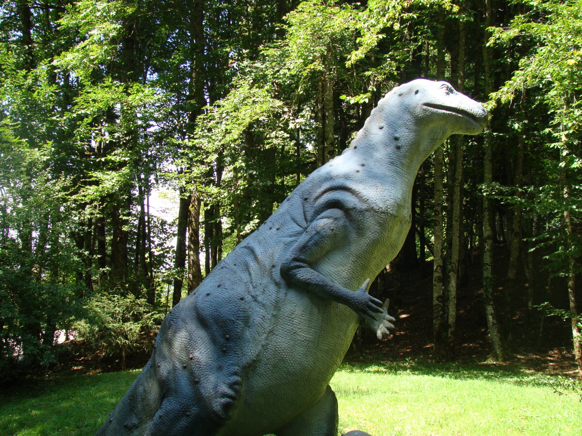 Diapositive Iguanodon.jpeg 