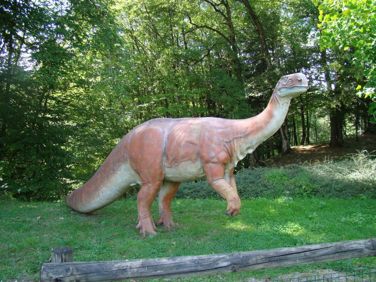 Diapositive Platéosaurus.jpeg 