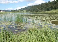 Vignette 31++Lac de Lamoura.jpeg 