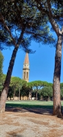 Vignette 15++Arezzio.jpeg 