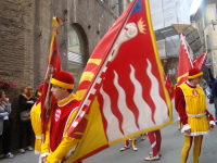 Vignette 33++Contrada.jpeg 