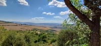 Vignette 07++Monticchiello.jpeg 