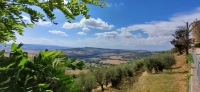 Vignette 08++Monticchiello.jpeg 