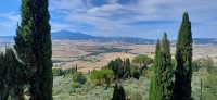 Vignette 29++Pienza.jpeg 