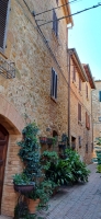 Vignette 40++Pienza.jpeg 
