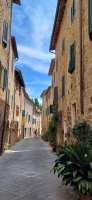 Vignette 50++San Quirico d'Orcia.jpeg 